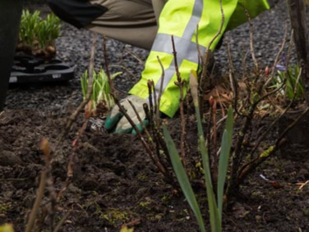 Klussendienst Groen